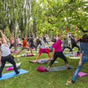 Open air joga Piešťany