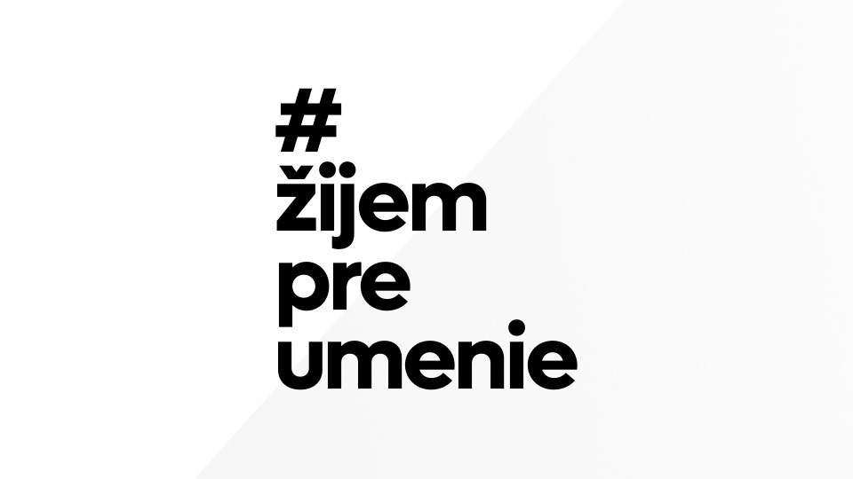 Žijem pre umenie - projekt APPA